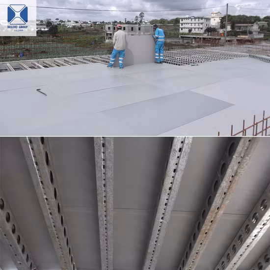 Cofragem Concreto PVC PP Kunststoffplatte, kundenspezifische Betonformen